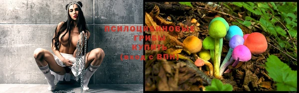 экстази Кукмор