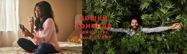 твердый Краснослободск