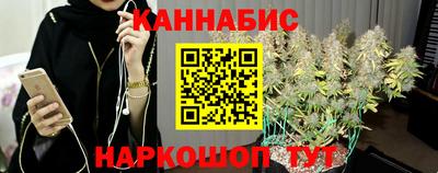 мяу мяу мука Гатчина