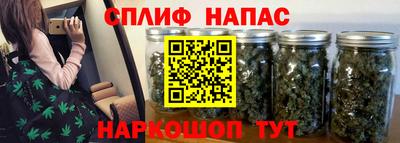 мяу мяу мука Гатчина