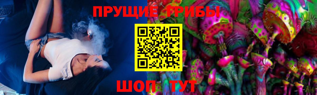 Галлюциногенные грибы прущие грибы  Псилоцибиновые грибы GOLDEN TEACHER  Кстово  Вход с VPN 