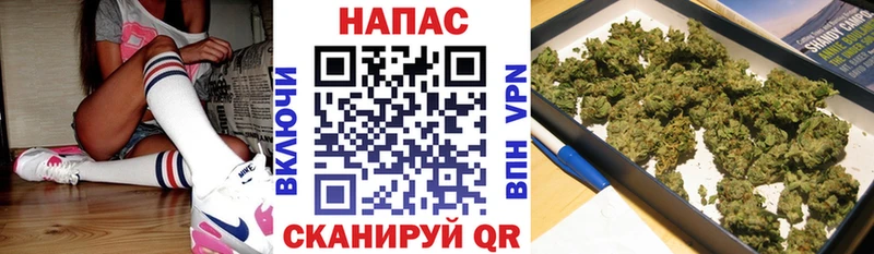 что такое   Кстово  Марихуана конопля 